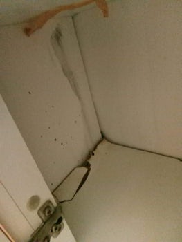 cupboard in the bathroom rotting