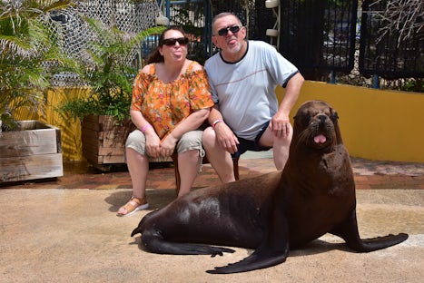 this was taken in Curacao Sea Aquarium park with snapper the sealion