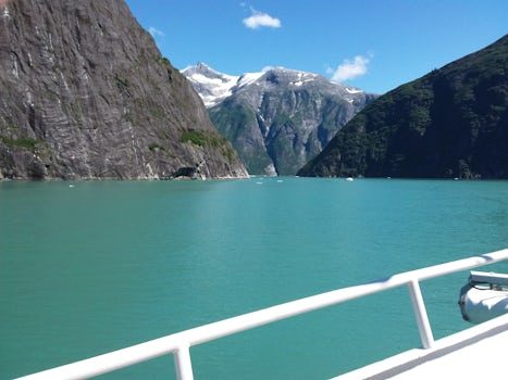 fjord cruising