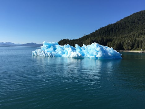 Iceberg just floating along.