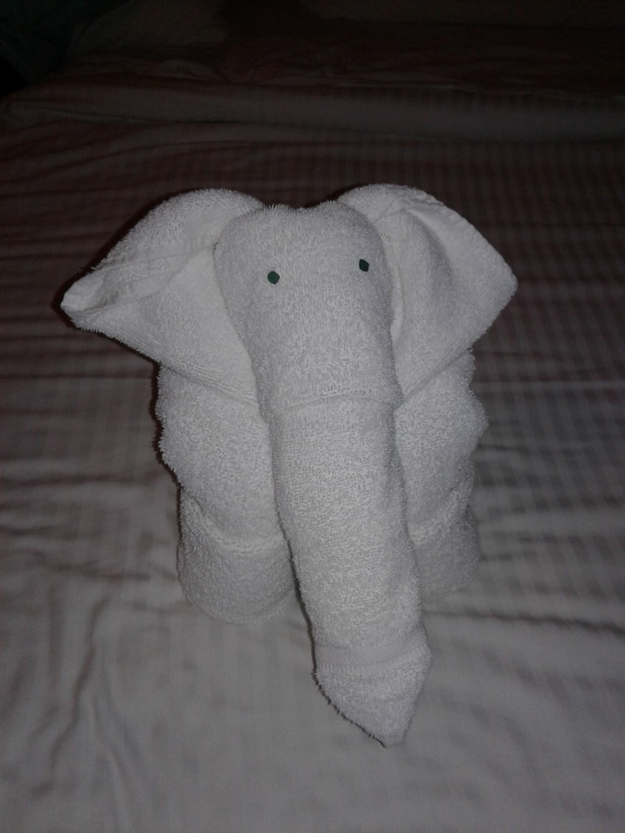 Towel elephant left on our bed in our cabin.