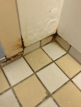 Filthy bathroom.  Not deep clean