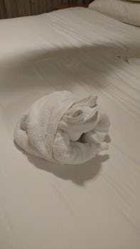 Towel animal aboard Oasis of the Seas