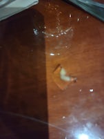 I found this in my cup of ice in the main dinning room 