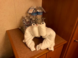 Everyday we were greeted by another towel animal