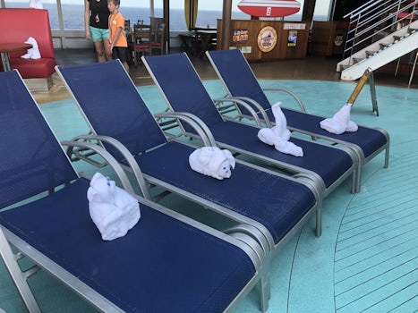 Towel Animals on the lido deck (they do this usually the day before the fin
