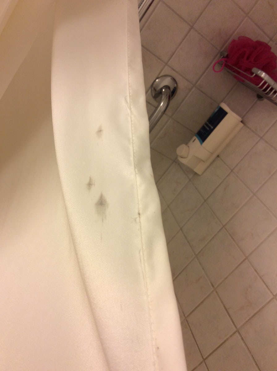 Mouldy shower curtain
