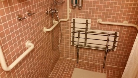 An additional view of the shower area showing the folding seat.