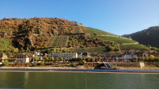 Vineyards on the hillsides along the river Main.  The growers make use of a