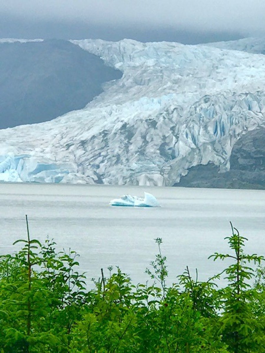 view of Mendenhall glacier from the Hike