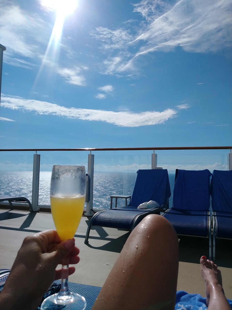 First day at sea mimosa