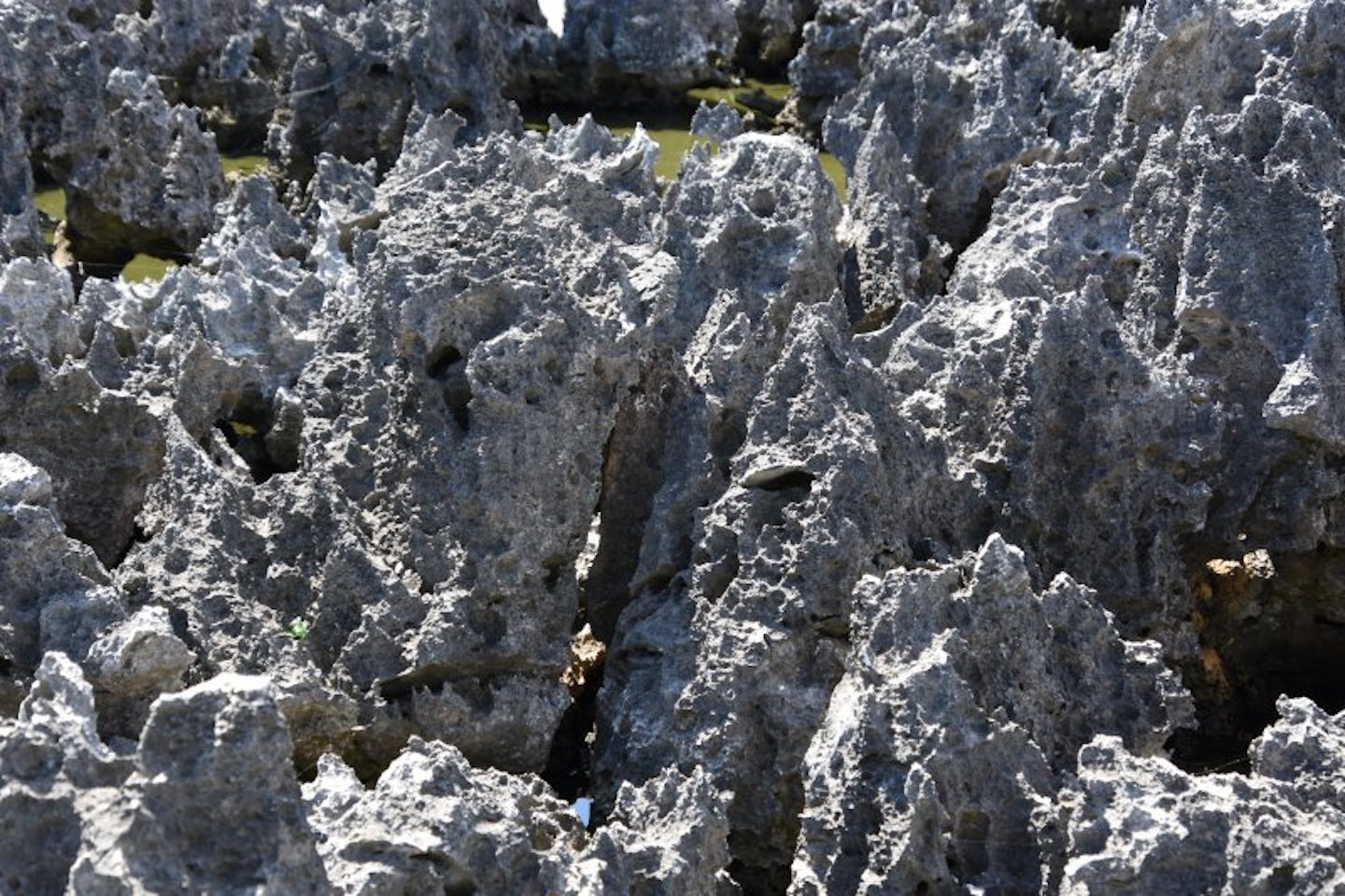 These are the gnarly rock formations that gave Hell at Grand Cayman its nam