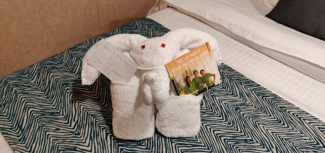 Towel elephant in cabin and an invitation for comments