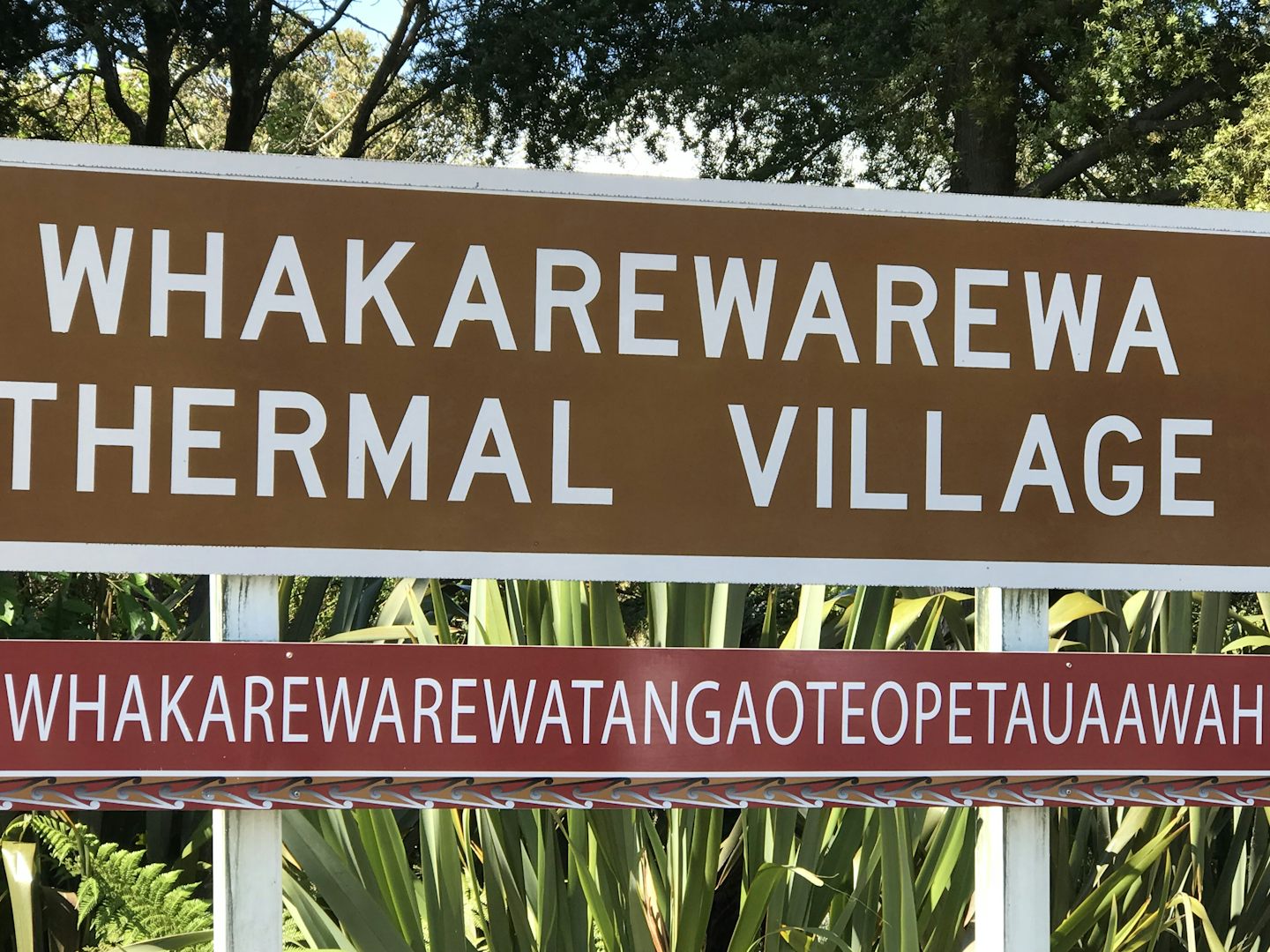 Visited a traditional Maori village and learned about the first settlers of