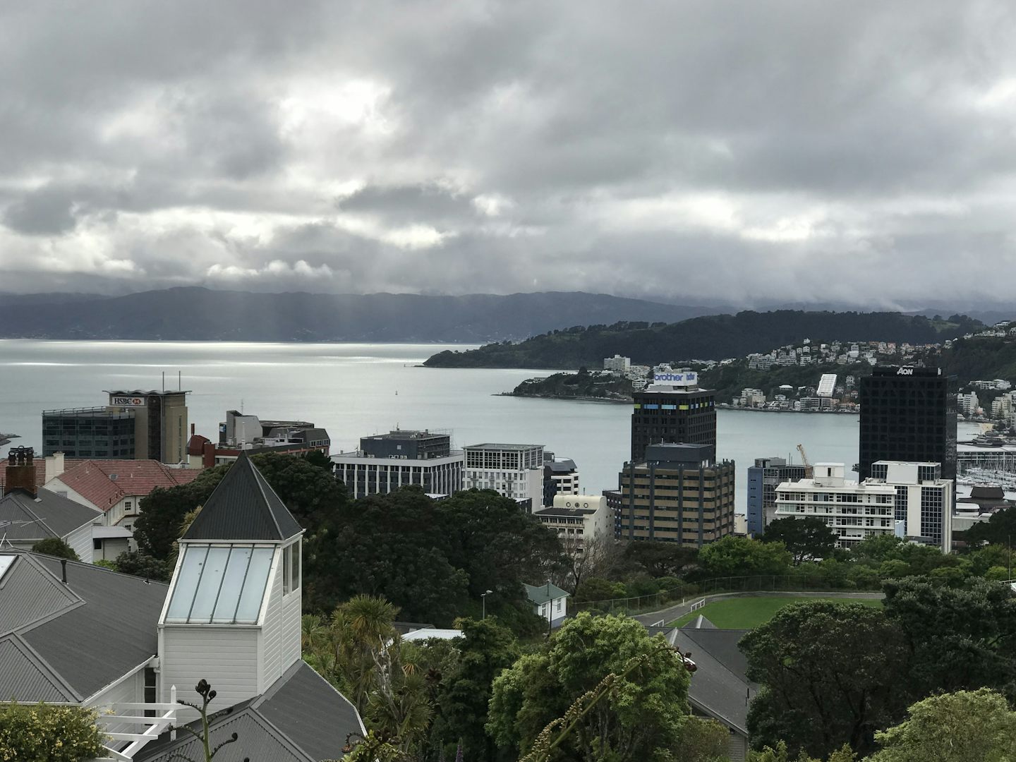 Views of Wellington from top of hill