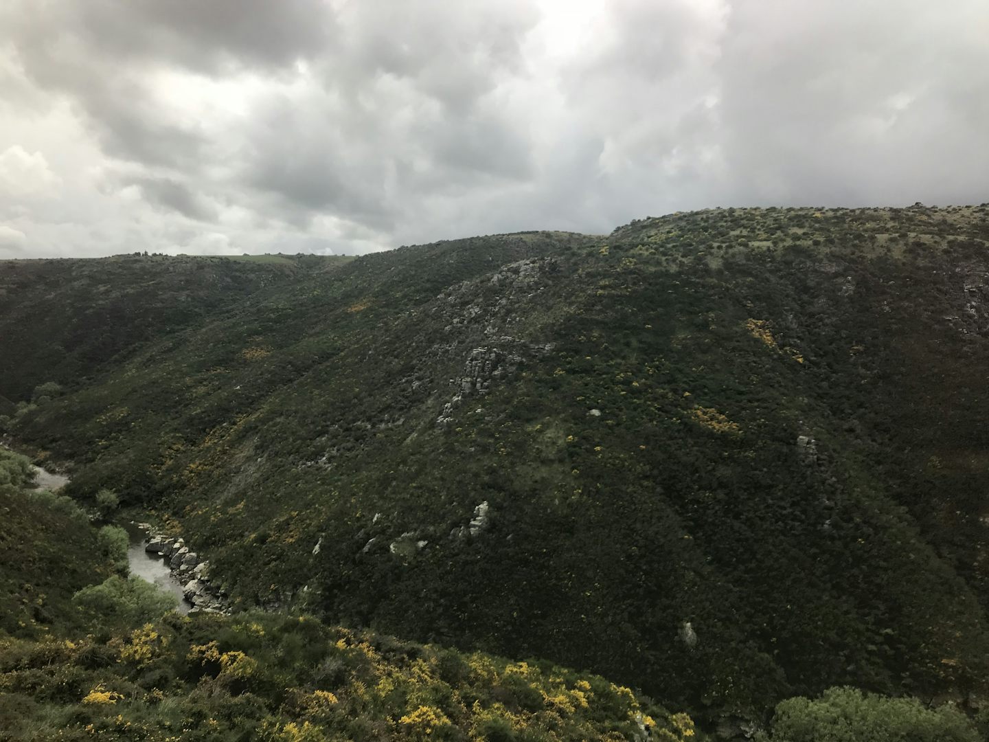 It rained in Dunedin so view of the gorge from the train were not very good