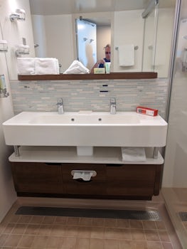 Storage and double sink in bathroom