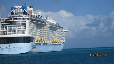 ship in bermuda