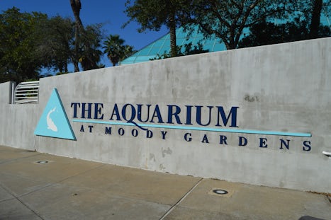 went to Galveston a couple of days early and did the Aquarium and had a lot
