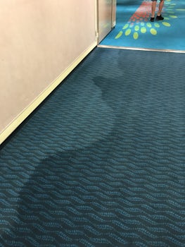 Water stains on the carpets in the hallways