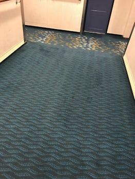 More stained hallway carpets :(