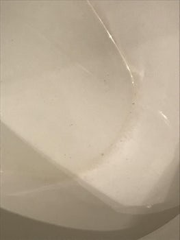 Ring around the toliet that was not cleaned the entire time I was on the sh