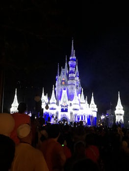Photo of Castle at night in Walt Disney World