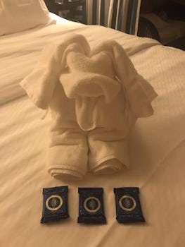 Towel Animal in the room