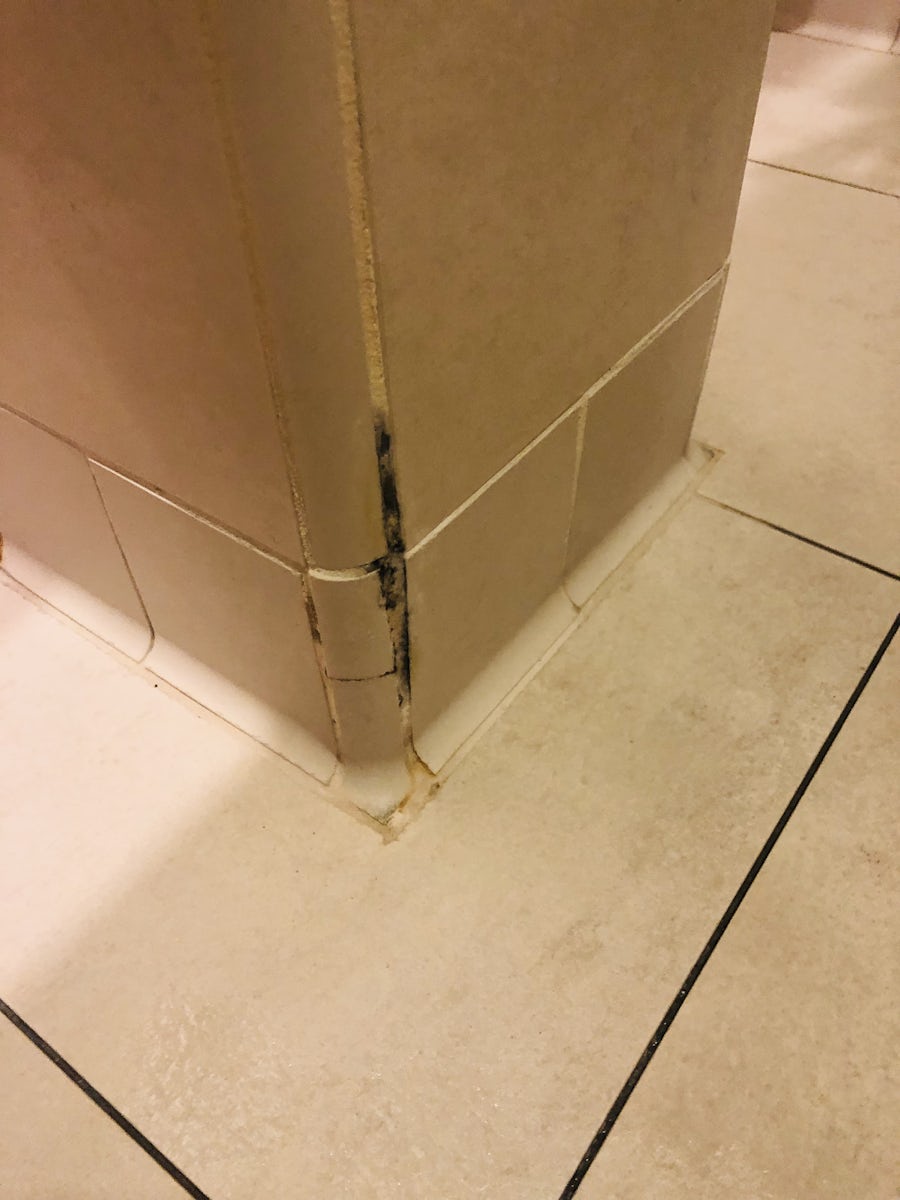 Mold in spa bathroom