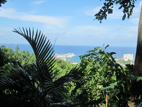 View from Tomoko Falls botanical gardents.