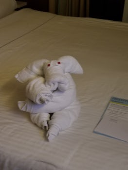 Towel Animal after Housekeeping made up our room!