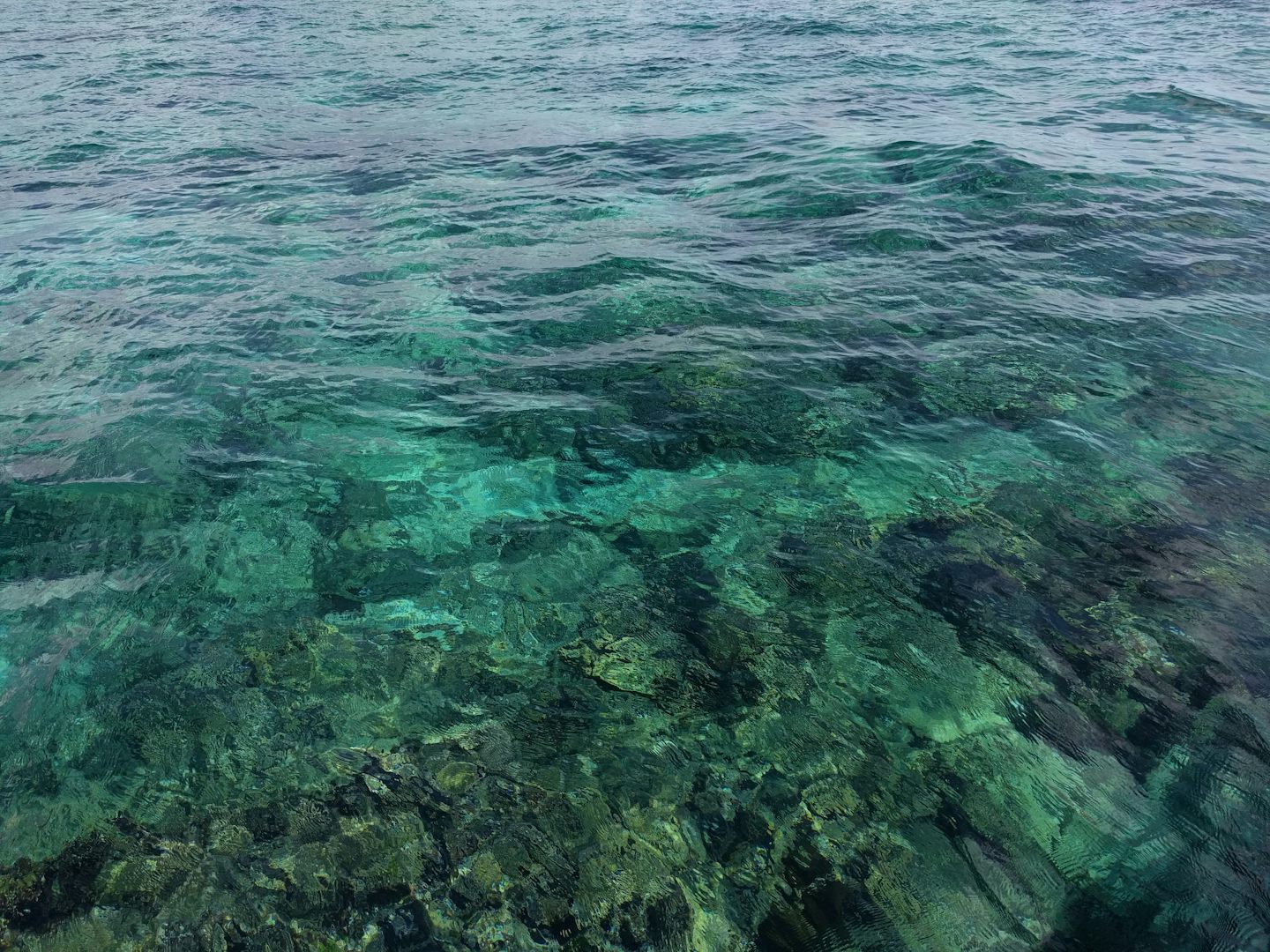 The water in Roatan was crystal clear