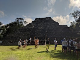 Mayan ruins at Chacchoben