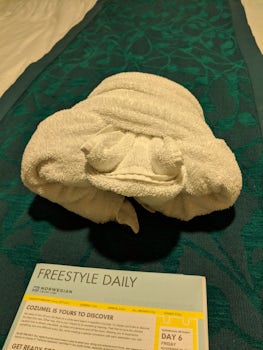 Another towel animal from the steward