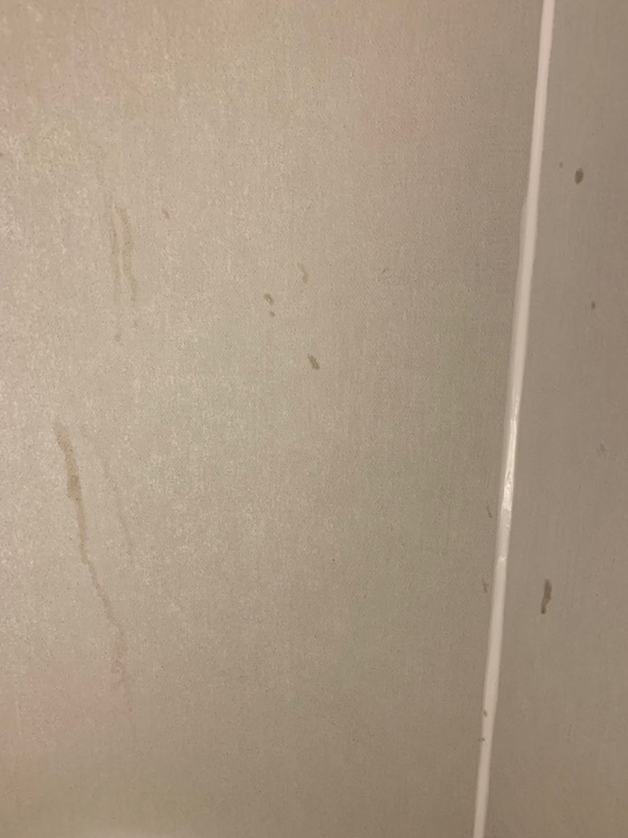 Drips on shower walls