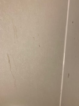 Drips on shower walls