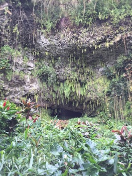 Fern Grotto on Kauai.  Beautiful.