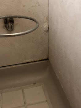 Bathroom disgusting dirty
