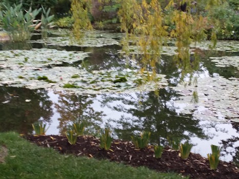 Lily pond at Giverny