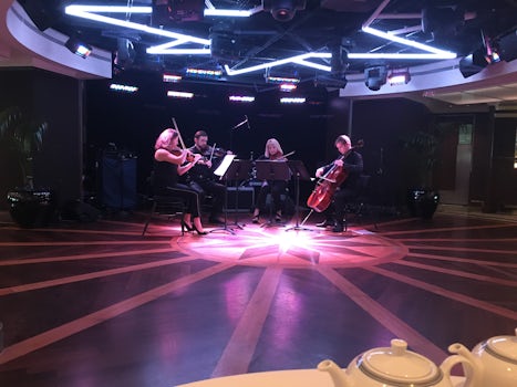 String quartet at Tea