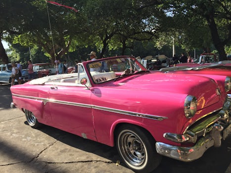 One of the beautiful old cars of the early 1950s acting as taxis in Havana
