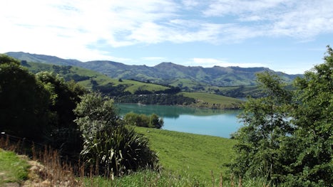 Looking down onto Akaroa Harbour from the Hilltop Tavern. We found a tour (