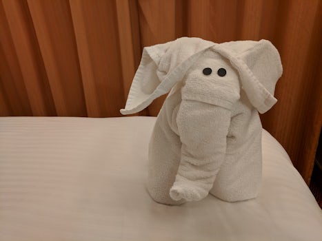 One of the many towel critters we received each evening.  This one is ready