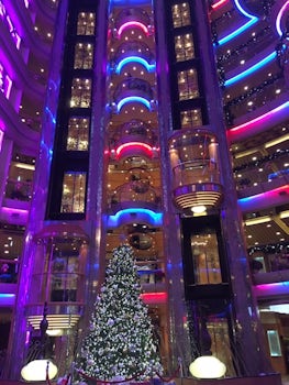 The Christmas tree in the brightly lighted Centrum