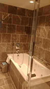 Suite 12634 Bath/Shower