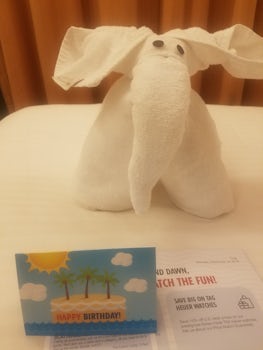 One of the many towel animals left for us in our cabin, and my Birthday gif