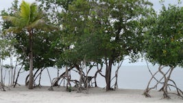 Norwegian Private Island, Harvest Caye, Belize 
Do not hesitate to take a