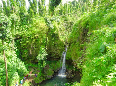 Dominica - shore excursion to waterfalls/rainforest - the "Dominica&#39