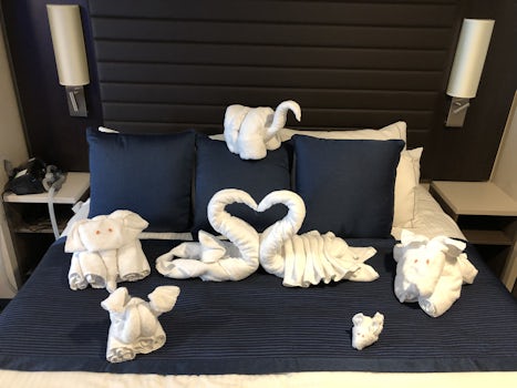 Collection of towel animals made by our room steward