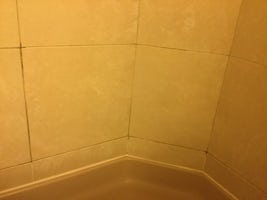 Tiling covered in mildew